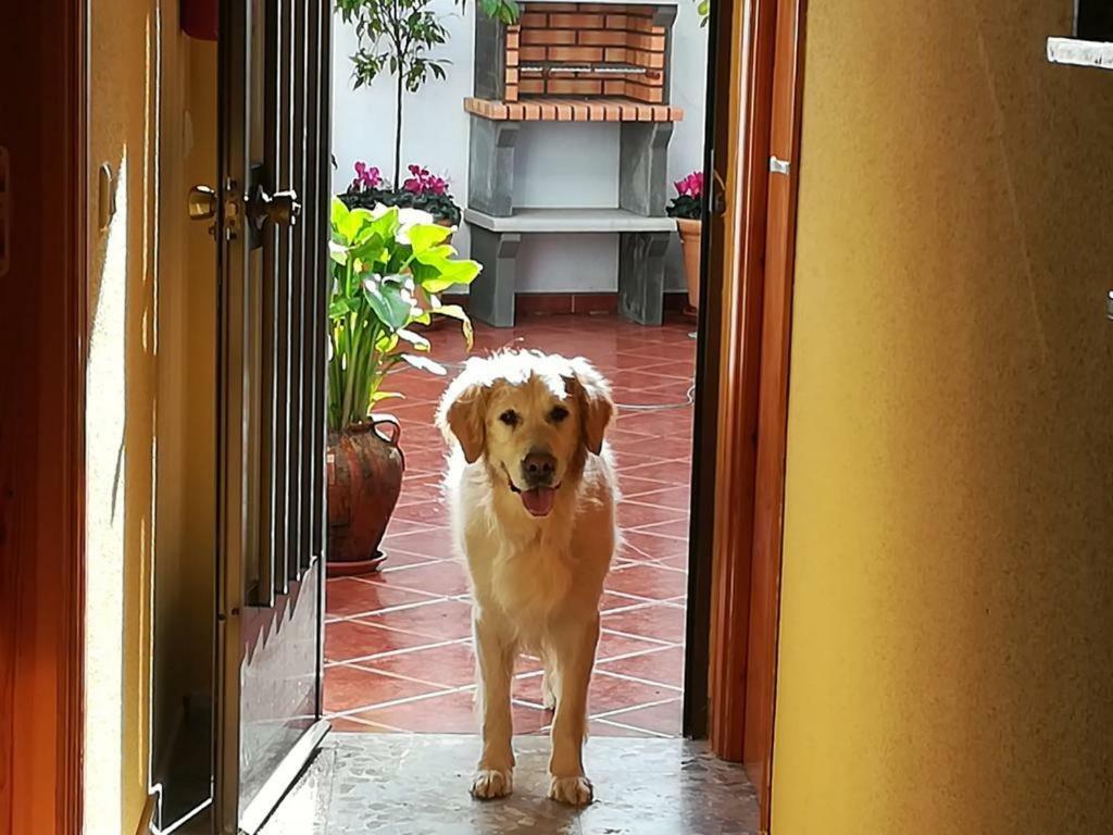 Casa Rural La Herencia Alía Esterno foto